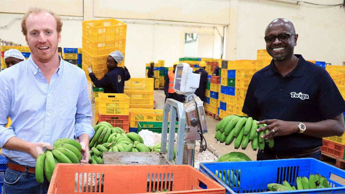 Zoom in on this unique lagoon !